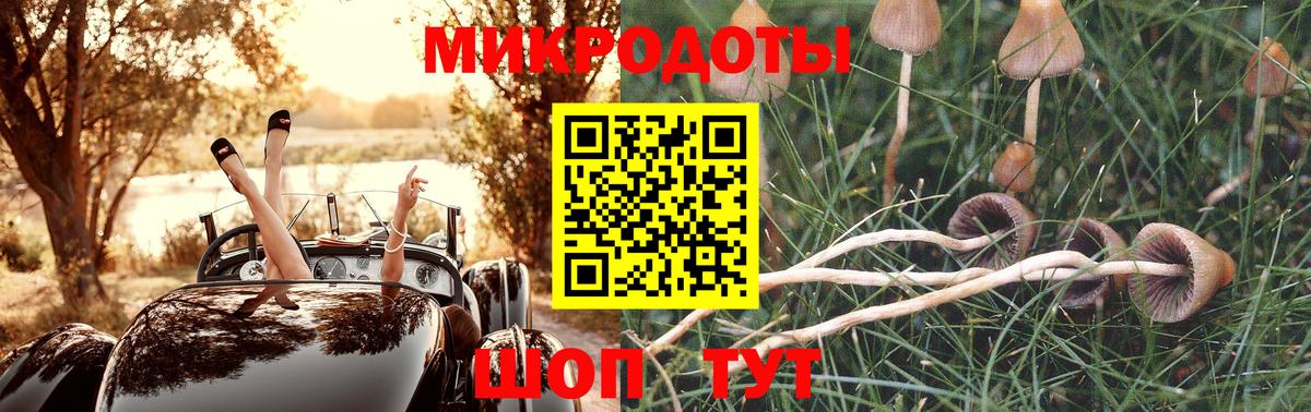 Псилоцибиновые грибы GOLDEN TEACHER  Вход с VPN  Сыктывкар 