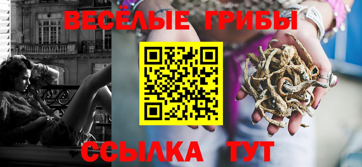 Псилоцибиновые грибы Magic Shrooms Сыктывкар